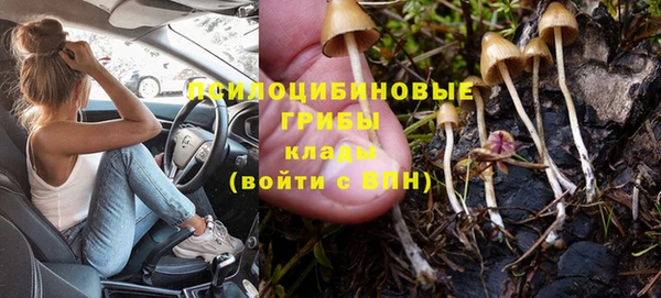 молекула духа Нягань