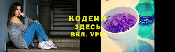 молекула духа Нягань