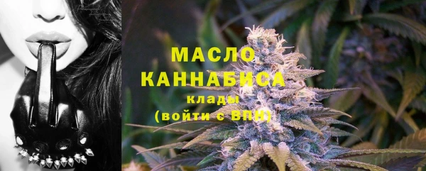молекула духа Нягань