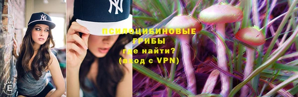 молекула духа Нязепетровск