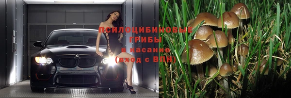 молекула духа Нягань