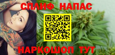 твердый Кингисепп