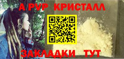 твердый Кингисепп