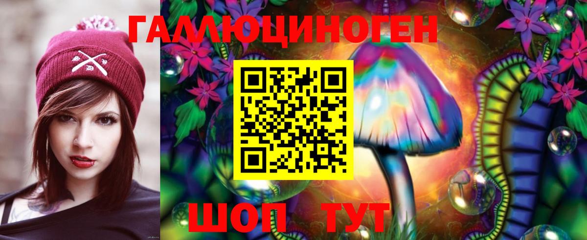 Псилоцибиновые грибы Psilocybine cubensis  купить  сайты  Краснодар  Вход с VPN  Галлюциногенные грибы Psilocybe 